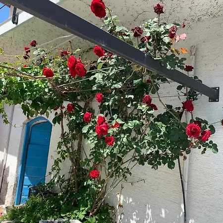 Casa de Férias Dalmatian Rustic House