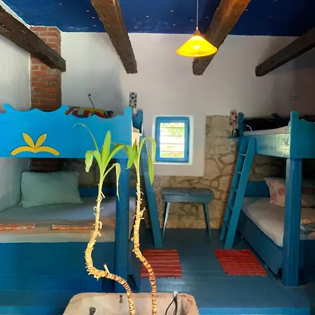 Dalmatian Rustic House * Petrcane