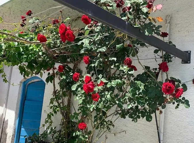 بيت للعطل Dalmatian Rustic House