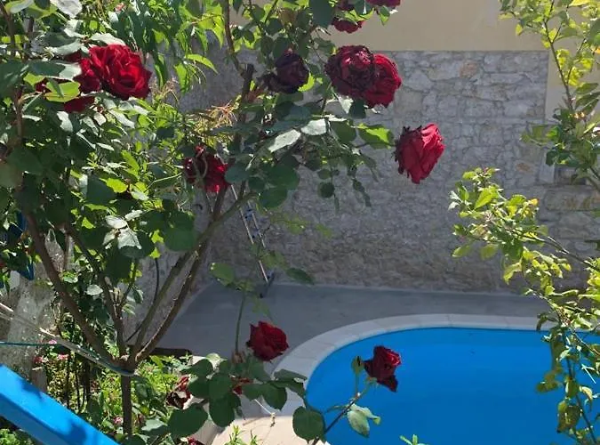 Dalmatian Rustic House